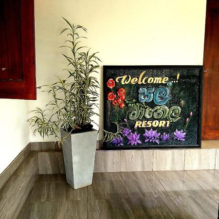 Salmanel Resort Ratnapura Buitenkant foto